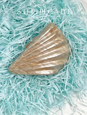 BagForLove - Luxury Acrylic Shell Shape Cross Body Bag with Chain Closure