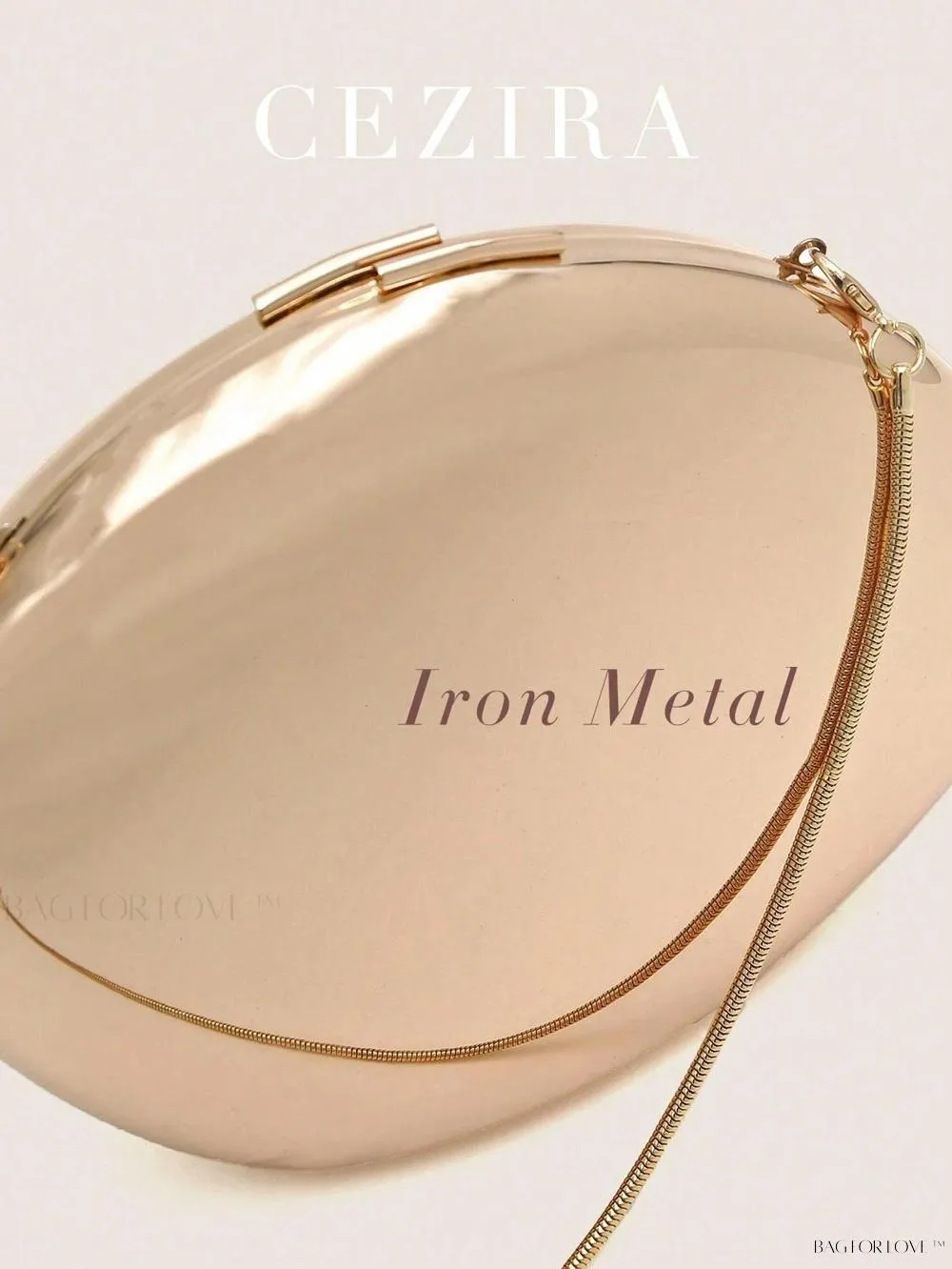 BagForLove - Perfect Party Accessory Luxury Glossy Iron Metal Handbag