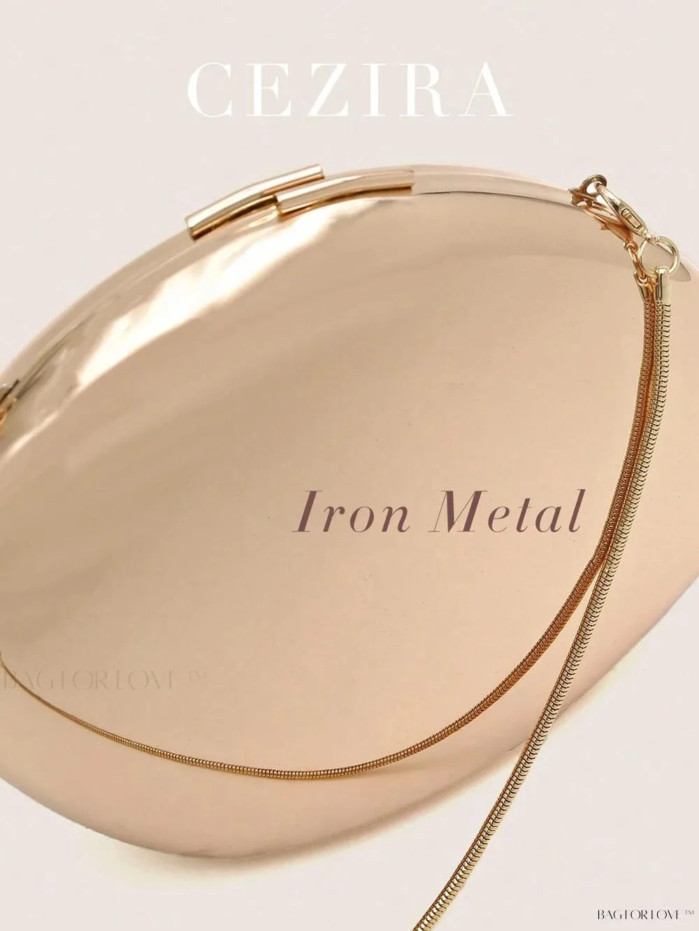 BagForLove - Perfect Party Accessory Luxury Glossy Iron Metal Handbag