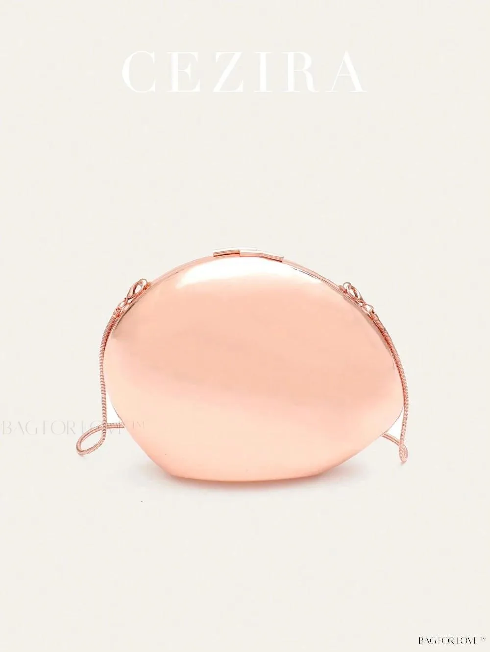 BagForLove - Perfect Party Accessory Luxury Glossy Iron Metal Handbag