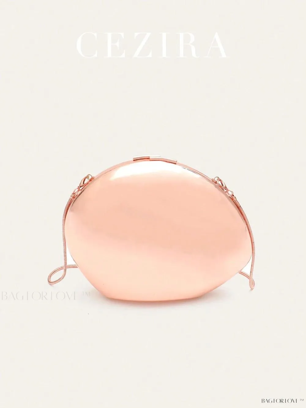 BagForLove - Perfect Party Accessory Luxury Glossy Iron Metal Handbag