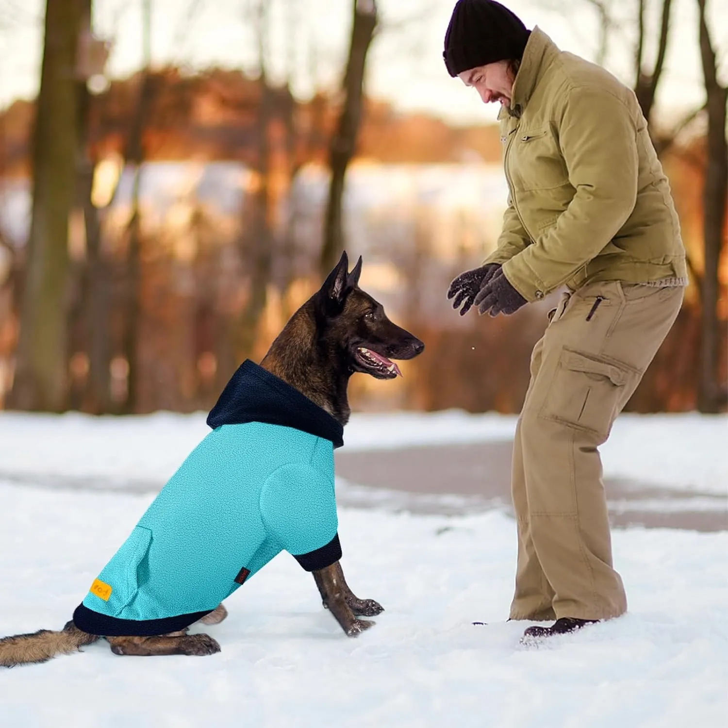 Dog Hoodie Sweatshirts, Fleece Warm Sweater for Dogs, Pet Warm Sweatshirt, Granular Velvet Sweater with Hat and Leash Hole, Soft Velvet Outfit Coat for Small Medium Large Dogs