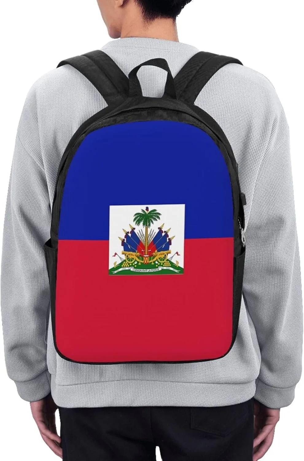 Haiti Haitian Flag Travel Backpack 17-Inch Laptop Backpacks Business Rucksack Casual Sport Daypack with USB Charging Port Carry-on Bag for Camping Biking