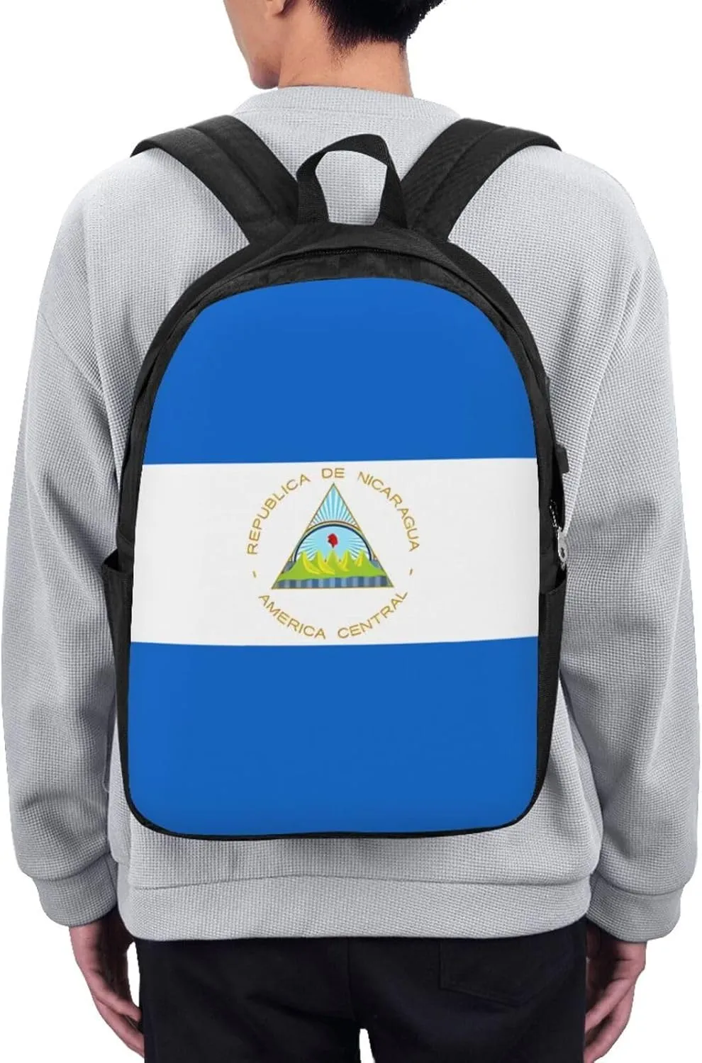 Nicaragua Flag Laptop Backpacks Travel Backpack Casual Business Daypack Sport Rucksack Computer Bag Fits up to 17 Inch Notebook with USB Port