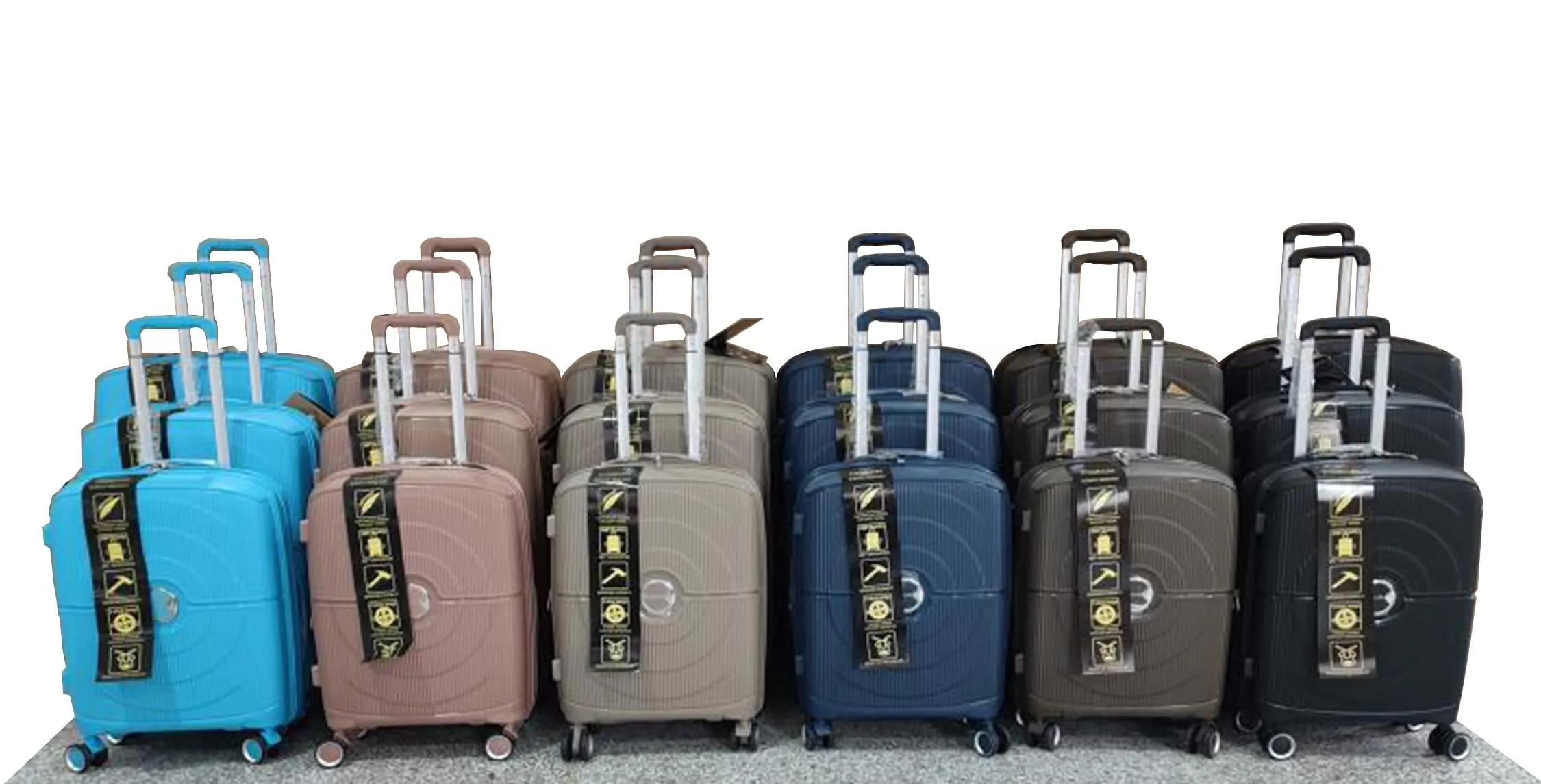 Pigeon hardshell trolley bag with double spinner wheels