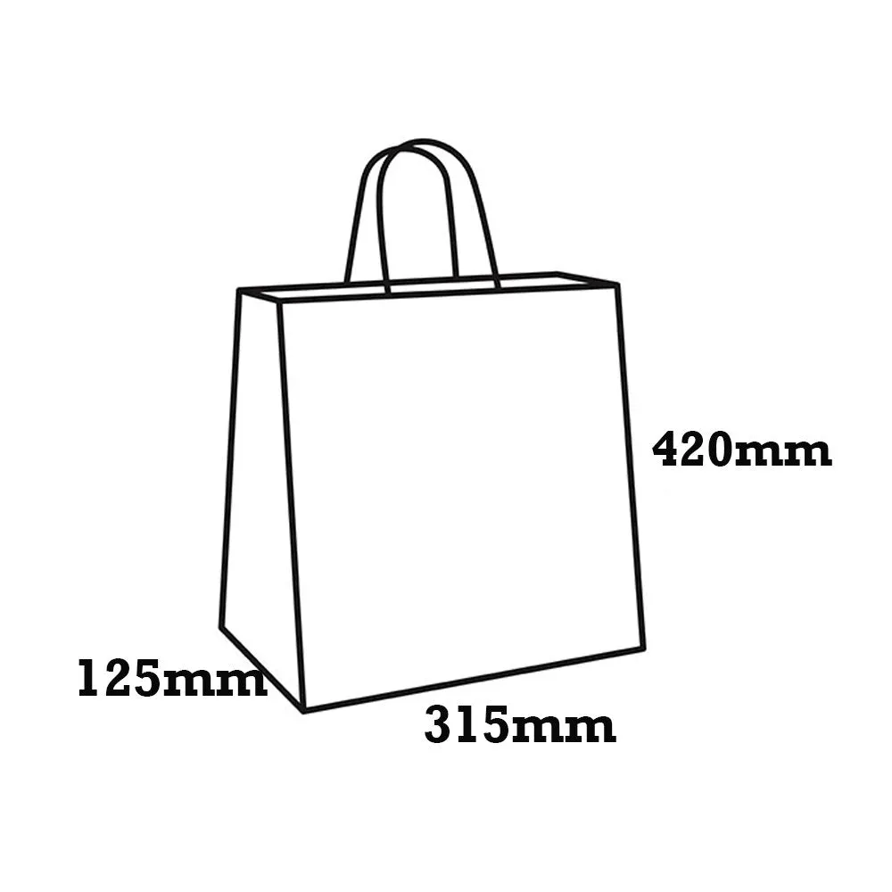 Retail Takeaway Kraft Twisted Handle Paper Bag - Medium Plus