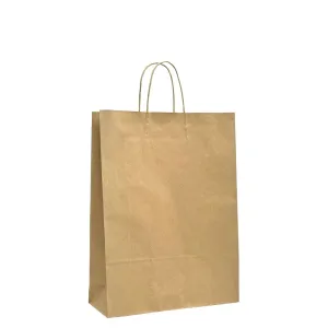 Retail Takeaway Kraft Twisted Handle Paper Bag - Medium Plus