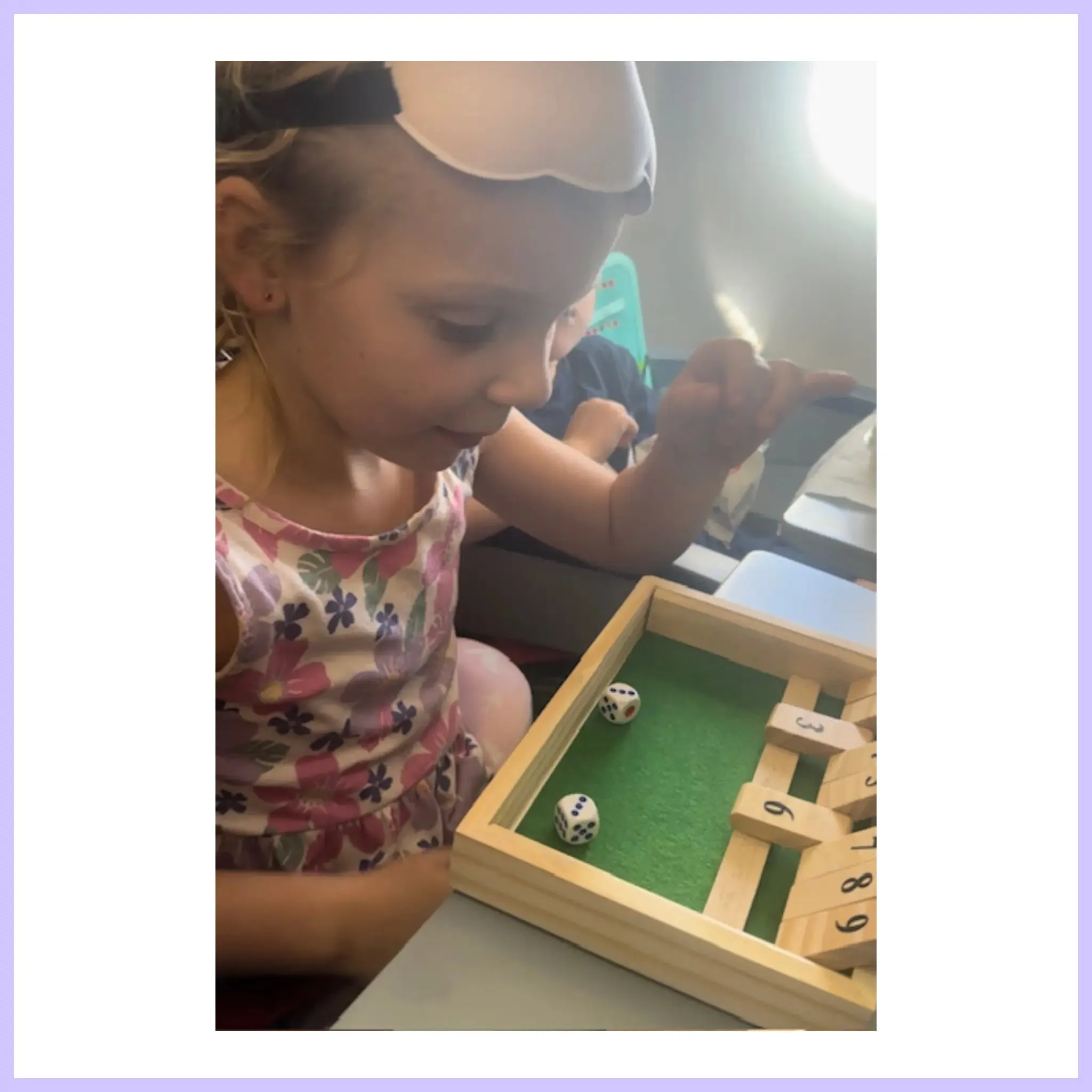 Shut The Box- Large