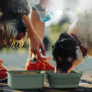 Square Expandable Collapsible Pet Bowls