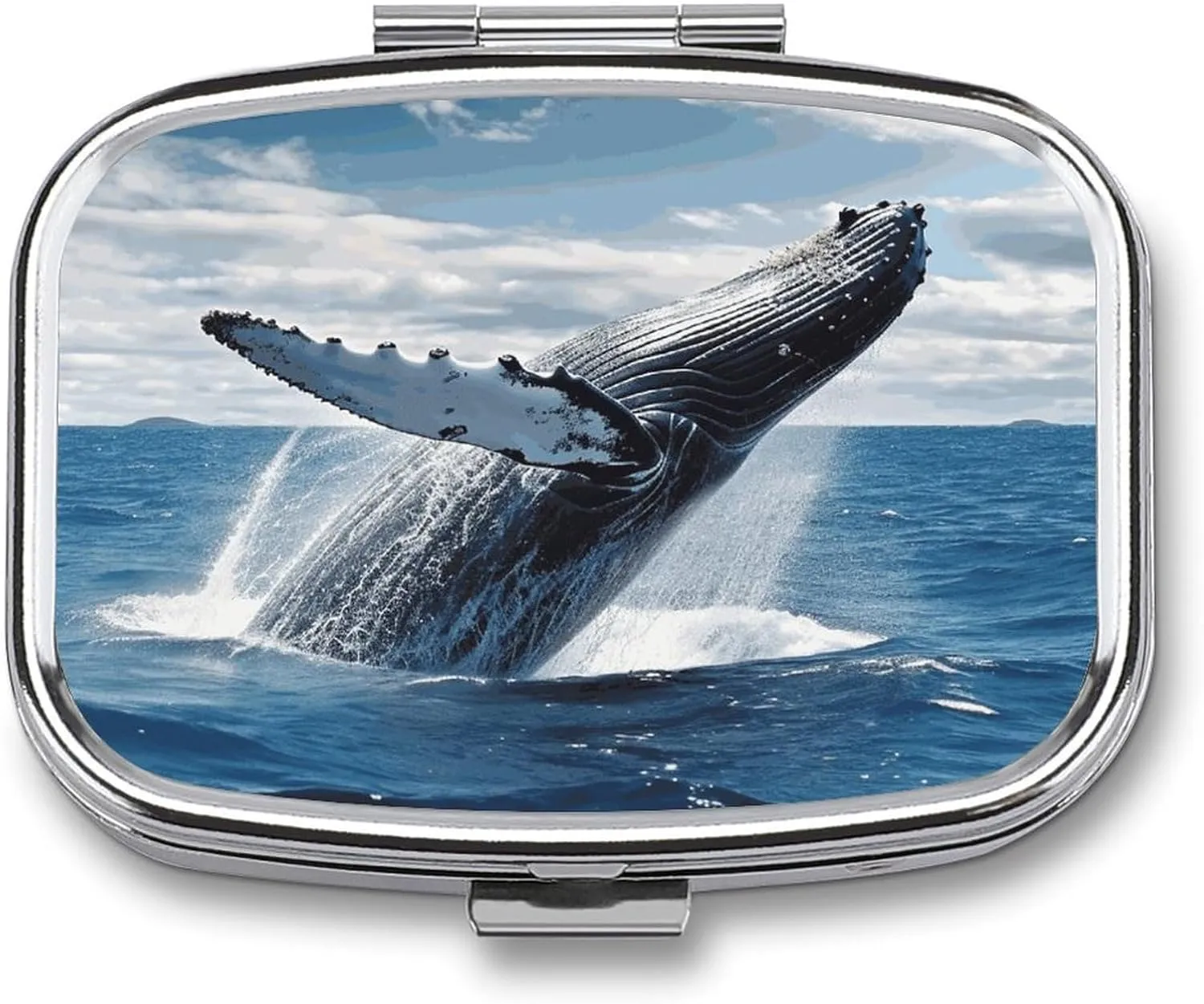 Whale Above Sea Water in The Ocean Travel Pill Organizer A Daily Pill Box for Supplements 2 Compartment Pill Case Convenient for Carrying and Storing Medicines Box